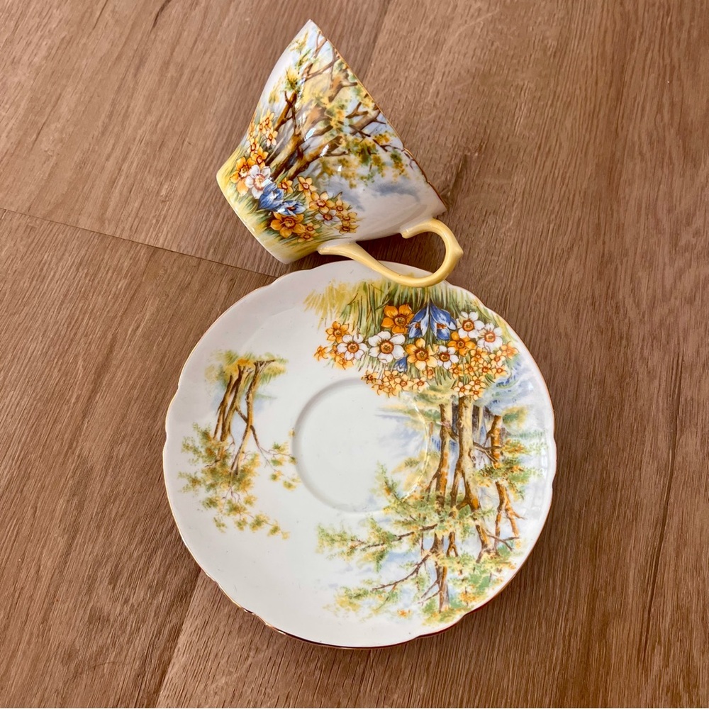 Vtg 1950s Shelley “Daffodil‎ Time” Teacup Cup & Saucer Fine Bone China #13370